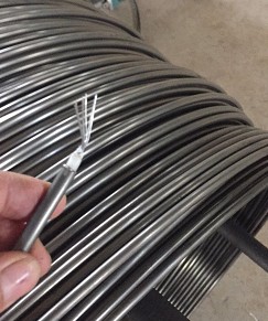 18AWG, 2205 Duplex Tubing Encapsulated Cable