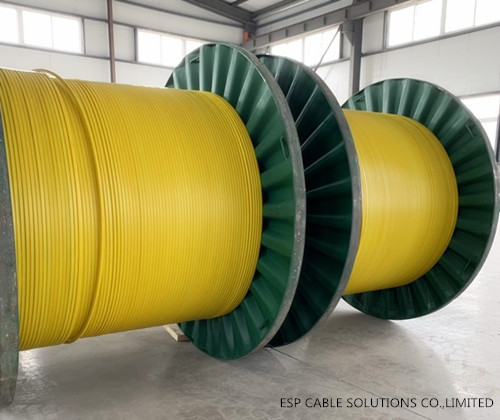 INTRODUCE OF TUBING ENCAPSULATED CABLE & CONTROL LINE TUBING